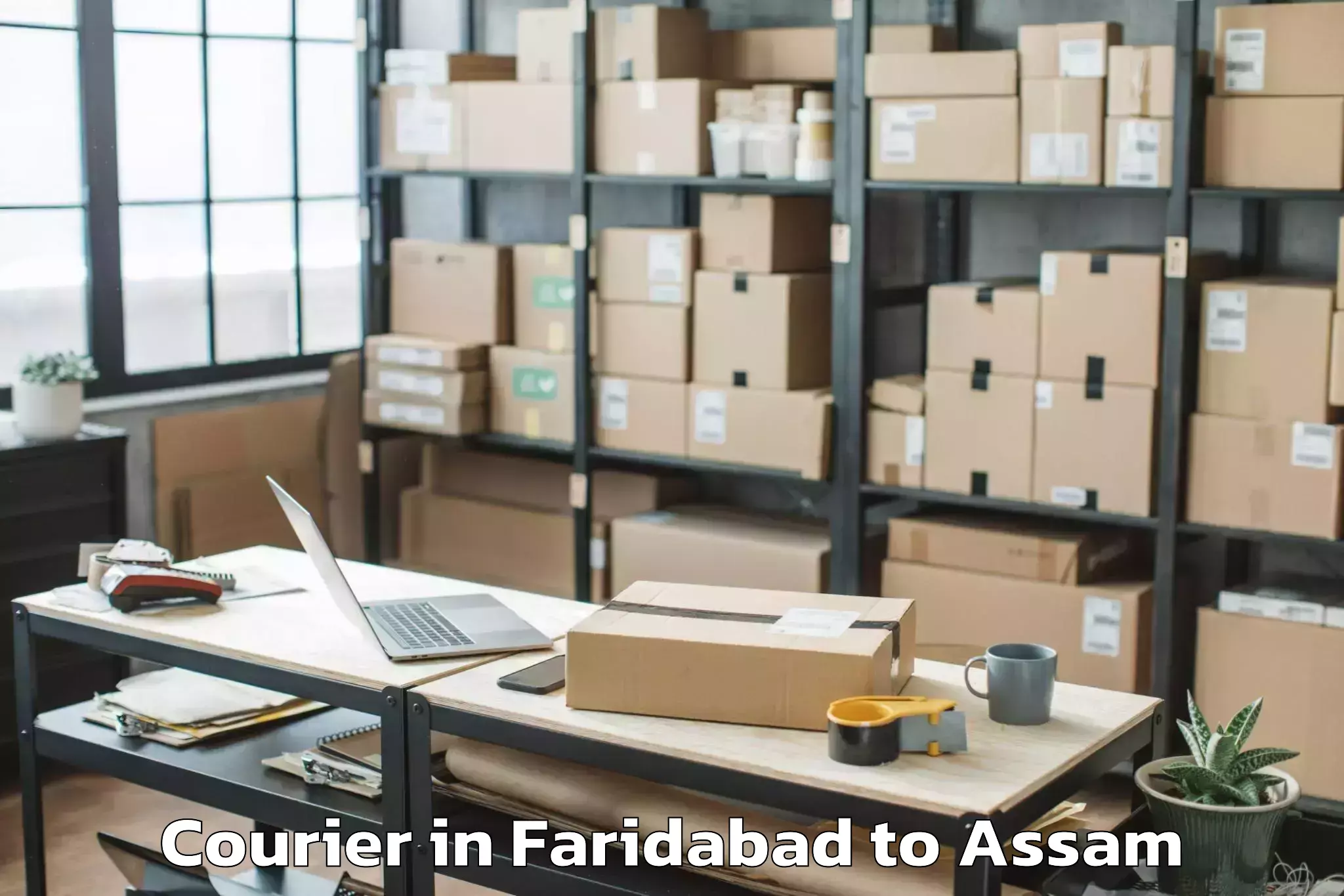 Leading Faridabad to Moranhat Courier Provider